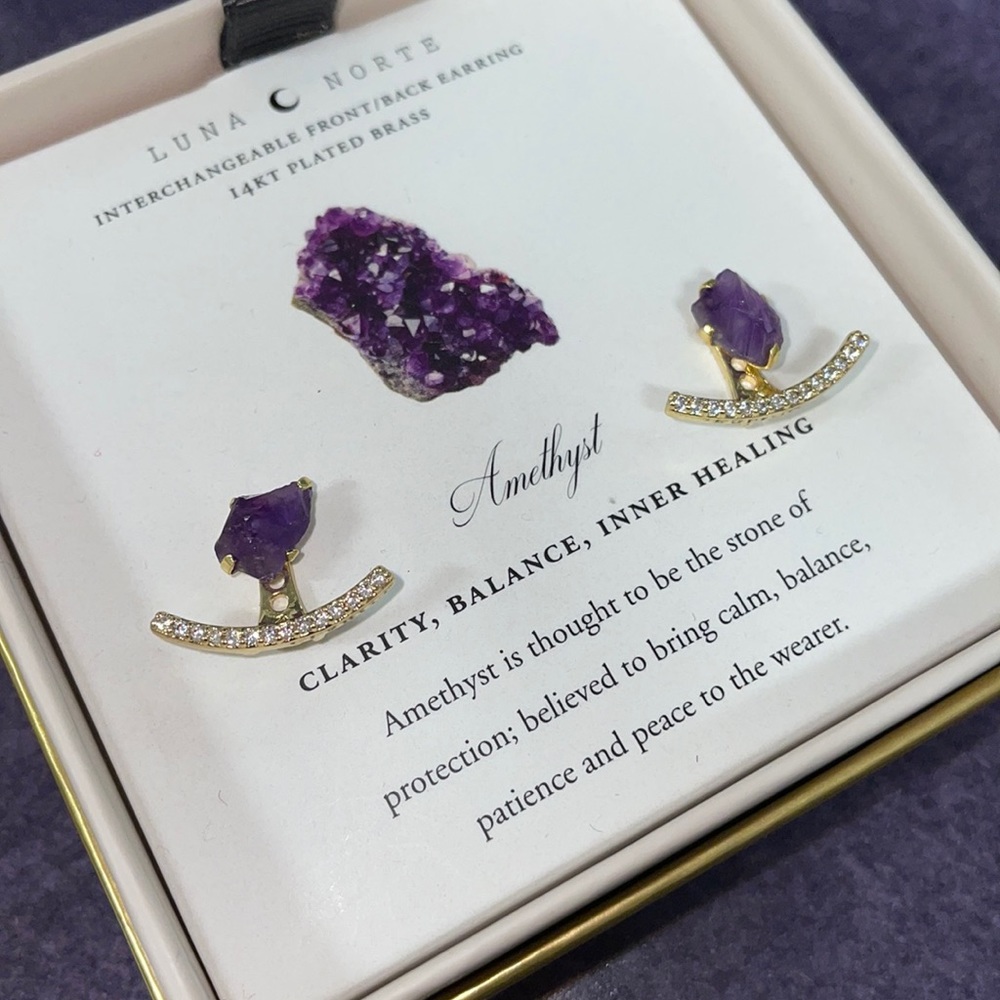 Luna 🌙 Norte Amethyst Earrings Set